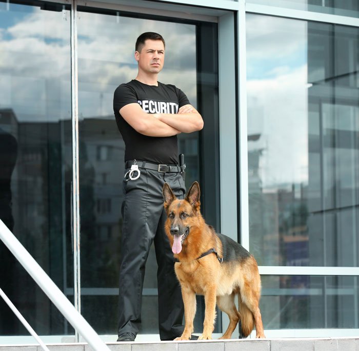 Département cynophile